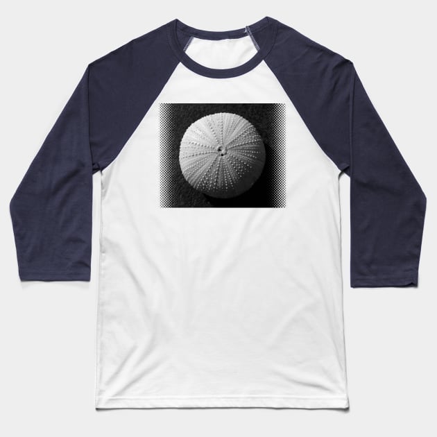 Seashell Baseball T-Shirt by cinema4design